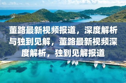 董路最新視頻報(bào)道，深度解析與獨(dú)到見解，董路最新視頻深度解石家莊阿鷗環(huán)?？萍加邢薰疚?，獨(dú)到見解報(bào)道