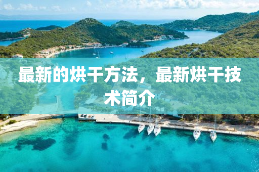 最新的烘干方石家莊阿鷗環(huán)?？萍加邢薰痉?，最新烘干技術(shù)簡(jiǎn)介