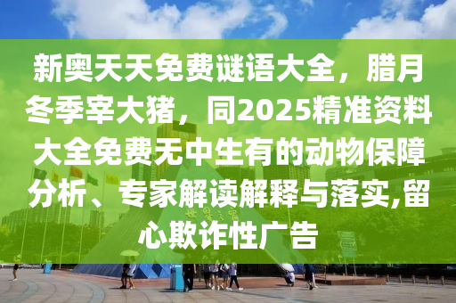 2025年11月11日 第8頁