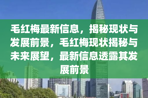 毛紅梅最新信息，揭秘現(xiàn)狀與發(fā)展前景，毛紅梅現(xiàn)狀揭秘與未來石家莊阿鷗環(huán)?？萍加邢薰菊雇?，最新信息透露其發(fā)展前景