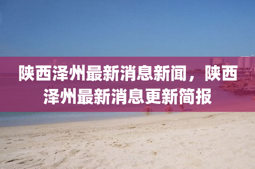 陜西澤州最新消息新聞，陜西澤州最新消息更新簡(jiǎn)報(bào)石家莊阿鷗環(huán)?？萍加邢薰? class=