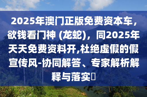 2025年11月17日 第15頁