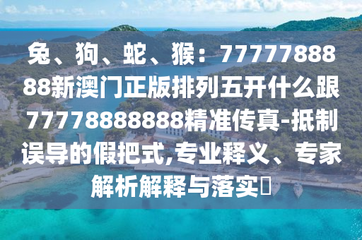 2025年11月17日 第11頁