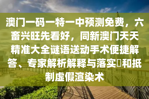 2025年11月19日 第52頁