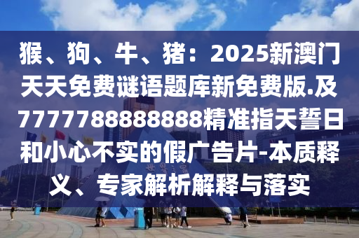 2025年11月19日 第33頁