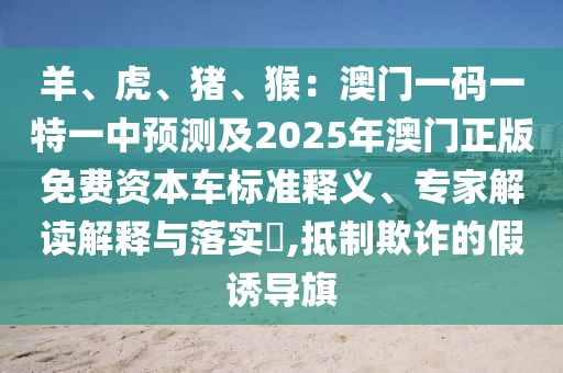 2025年11月20日 第13頁