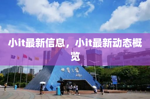 小it最新信石家莊阿鷗環(huán)保科技有限公司息，小it最新動態(tài)概覽