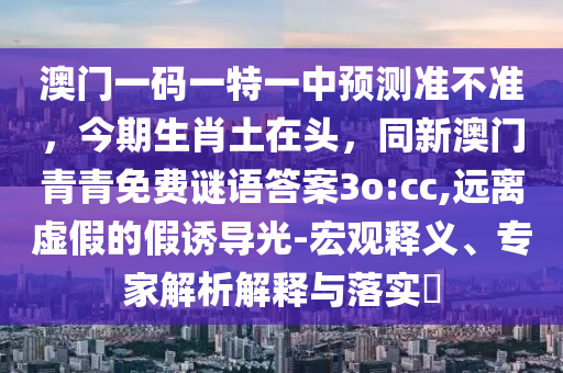 2025年11月22日 第20頁