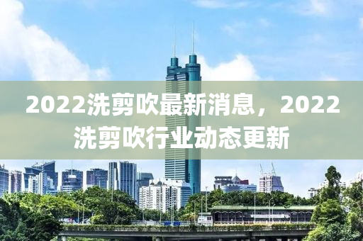 2022洗剪吹最新消息，2022洗剪吹行業(yè)動(dòng)態(tài)更新石家莊阿鷗環(huán)?？萍加邢薰? class=