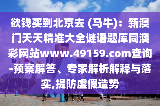 2025年11月25日 第13頁