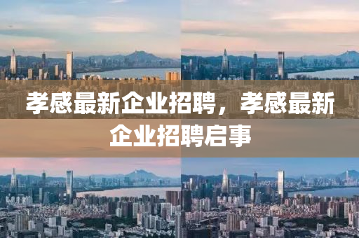 孝感最新企業(yè)招聘，孝感最新企業(yè)招聘啟事石家莊阿鷗環(huán)保科技有限公司