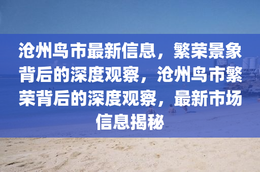 滄州鳥市最新信息，繁榮景象背后的深度觀察石家莊阿鷗環(huán)保科技有限公司，滄州鳥市繁榮背后的深度觀察，最新市場(chǎng)信息揭秘