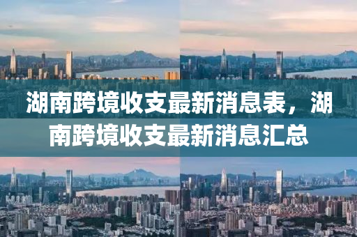 湖南跨境收支最新消息表，湖南跨境收支最新消息匯總石家莊阿鷗環(huán)?？萍加邢薰? class=
