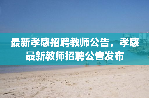 最新孝感招聘教師公告，孝感最新教師招聘公告發(fā)布石家莊阿鷗環(huán)?？萍加邢薰? class=