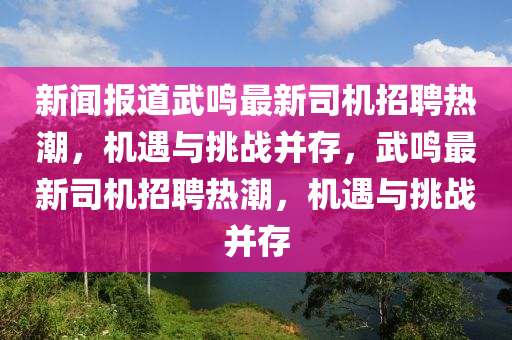 新聞報道武鳴最新司機招聘熱潮，機遇與挑戰(zhàn)并存，武鳴最新司機招聘熱潮，機遇與挑戰(zhàn)并存石家莊阿鷗環(huán)?？萍加邢薰? class=