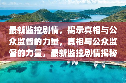 最新監(jiān)控劇情，揭示真相與公眾石家莊阿鷗環(huán)?？萍加邢薰颈O(jiān)督的力量，真相與公眾監(jiān)督的力量，最新監(jiān)控劇情揭秘