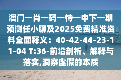 澳門(mén)一肖一碼一恃一中下一期預(yù)測(cè)任小聊及2025免費(fèi)精準(zhǔn)資料全面釋義：40-42-44-23-11-04 T:36-前沿剖析、解釋與落實(shí),洞察虛假的本質(zhì)