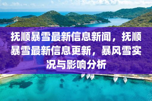 撫順暴雪最新信息新聞，撫順暴雪最新信息更新，暴風(fēng)雪實(shí)況與影響分析