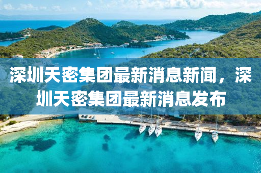 深圳天密集團最新消息新聞，深圳天密集團最新消息發(fā)布