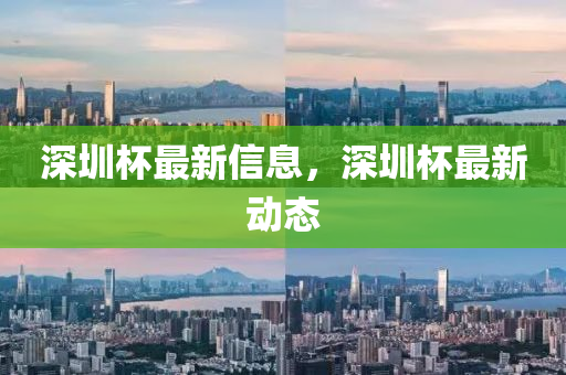 深圳杯最新信息，深圳杯最新動(dòng)態(tài)